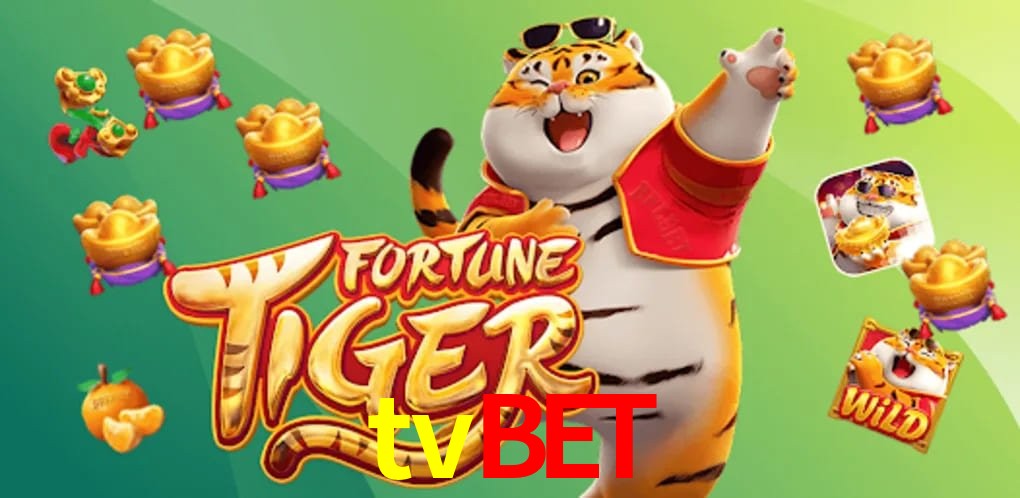 Player Reviews tvbet